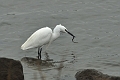 12 02 15_1562_edited-1